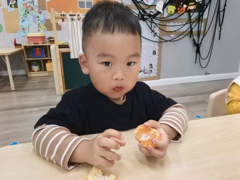 November 4 Daily Report