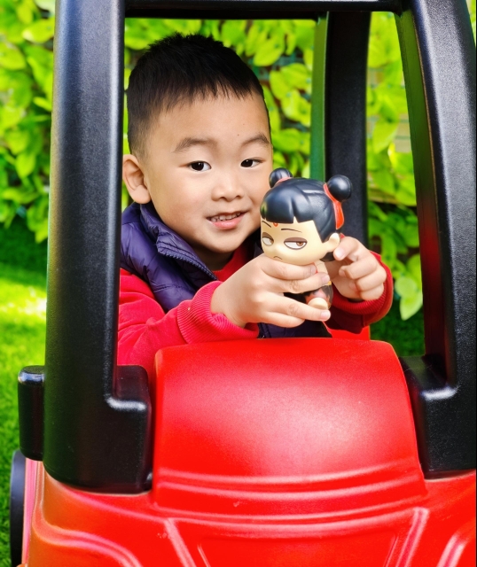 November 13 Daily Report