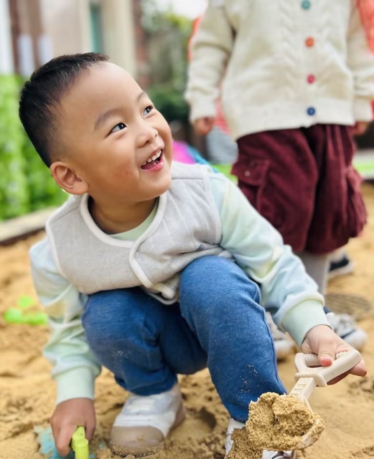 November 6 Daily Report