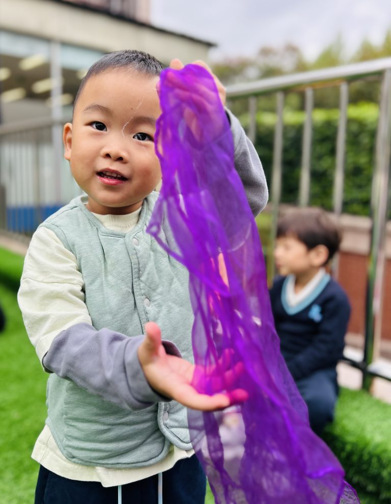 November 5 Daily Report