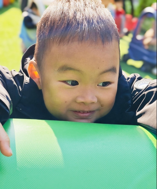 November 20 Daily Report