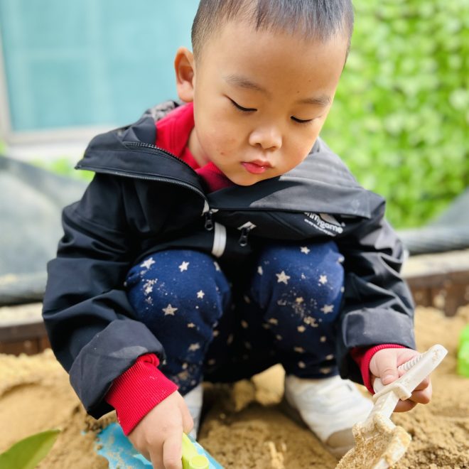 November 10 Daily Report