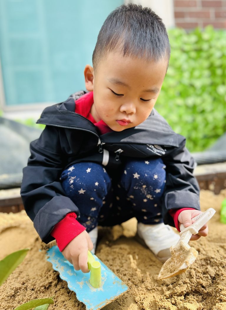 November 10 Daily Report