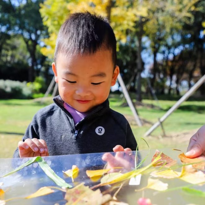 November 26 Daily Report