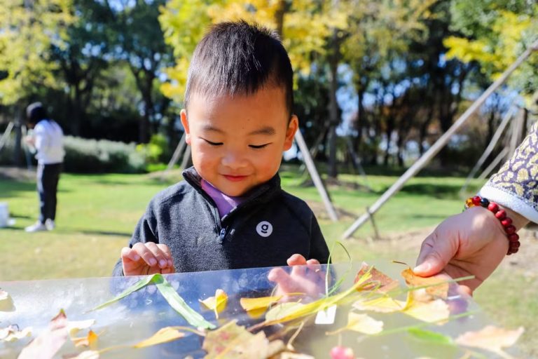 November 26 Daily Report