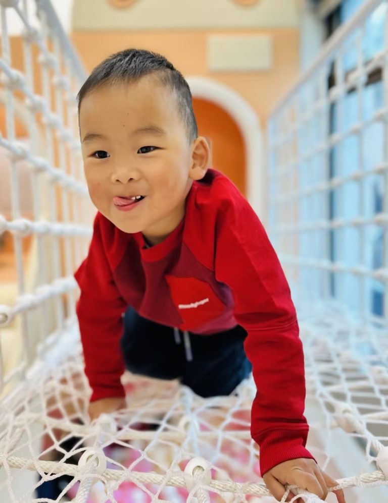 November 24 Daily Report